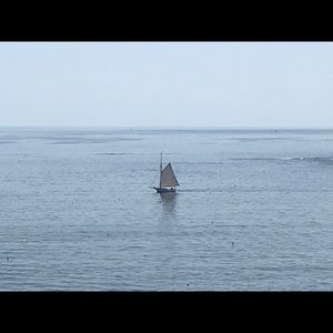 Meet your Posher, Nicholas